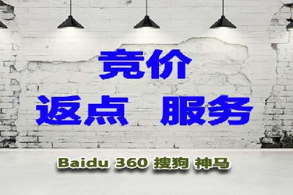 百度竞价广告投放成功案例解析